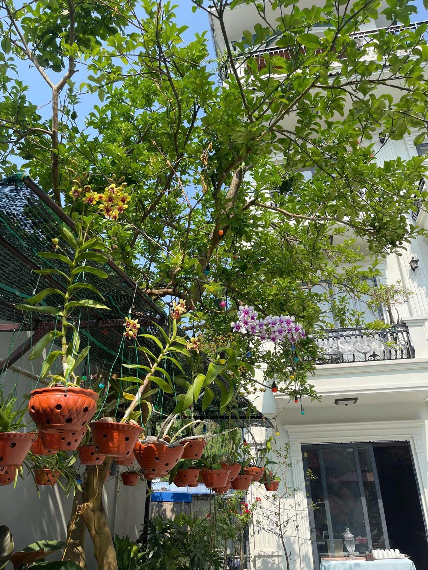 Lynh'S Villa Dong Khe Sau 외부 사진